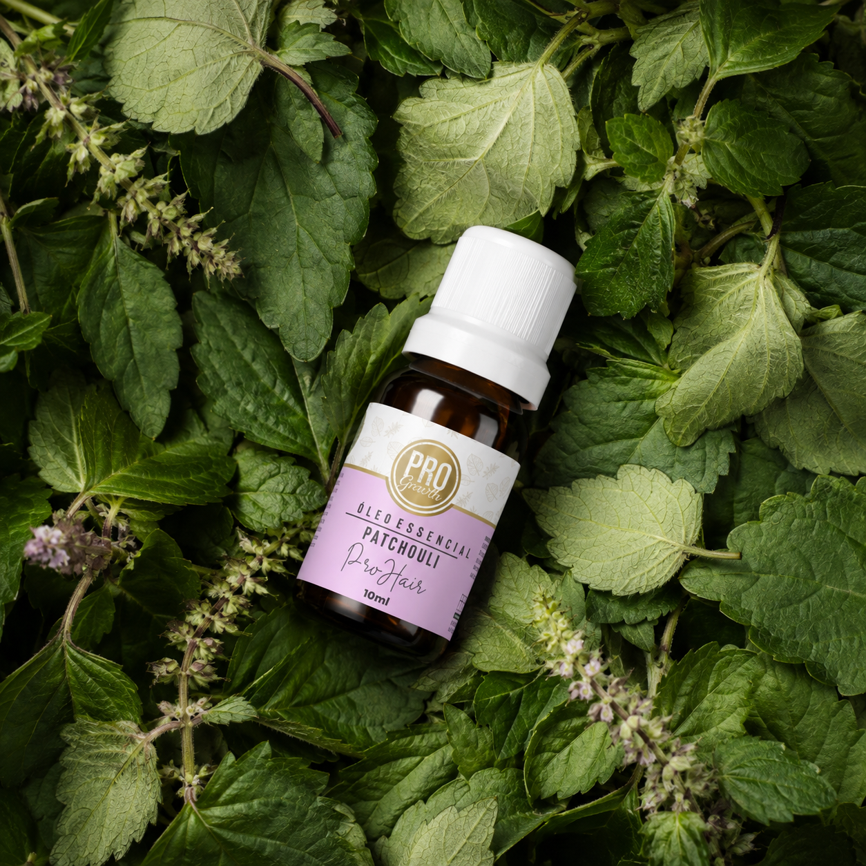 Óleo Essencial Patchouli 10mL - ProHair