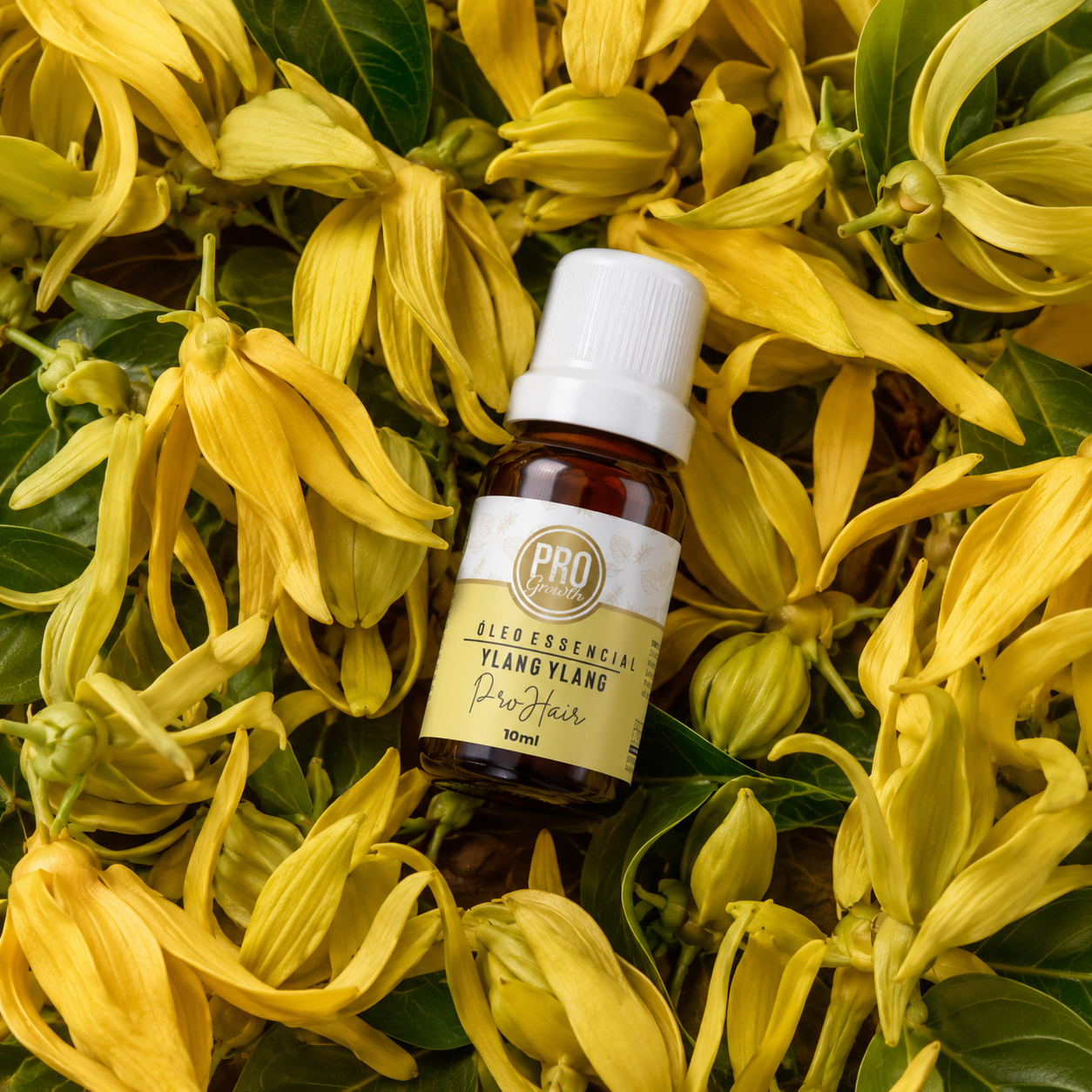 Óleo Essencial Ylang Ylang 10mL - ProHair